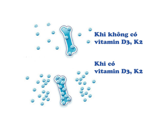 Người Việt lùn thứ 4 thế giới, làm sao để con “bứt phá” chiều cao 10 – 15cm/năm?