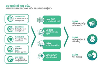 Ứng dụng men vi sinh trong điều trị nha khoa