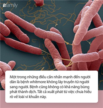 Bệnh Whitmore không lây từ người sang người