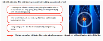 Lộ diện “thủ phạm” giấu mặt gây tiểu đêm, tiểu nhiều lần ở cả nam và nữ