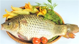 Món ăn từ cá chữa bệnh thận, liệt dương, tăng huyết áp