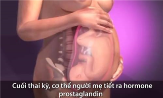 Tiến trình chuyển dạ sinh con của người mẹ