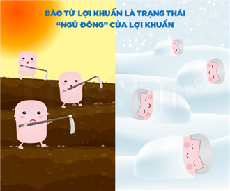Những điều bạn cần biết về bào tử lợi khuẩn trong men vi sinh